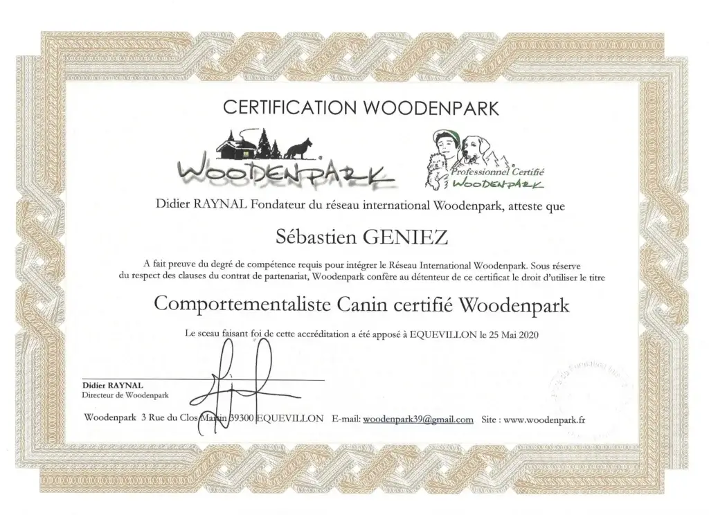 Spécialiste du comportement canin à Rouen: certification Woodenpark