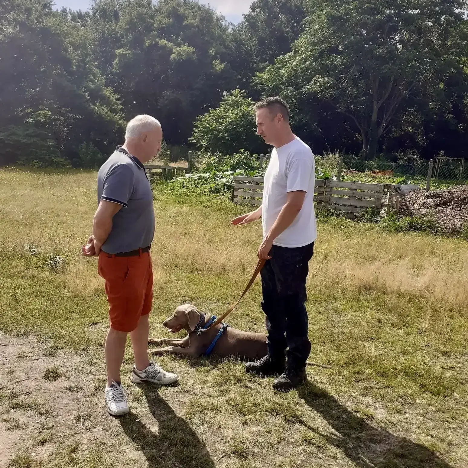 Un homme tient un chien allongé au sol en laisse tout en discutant avec un autre en face de lui.