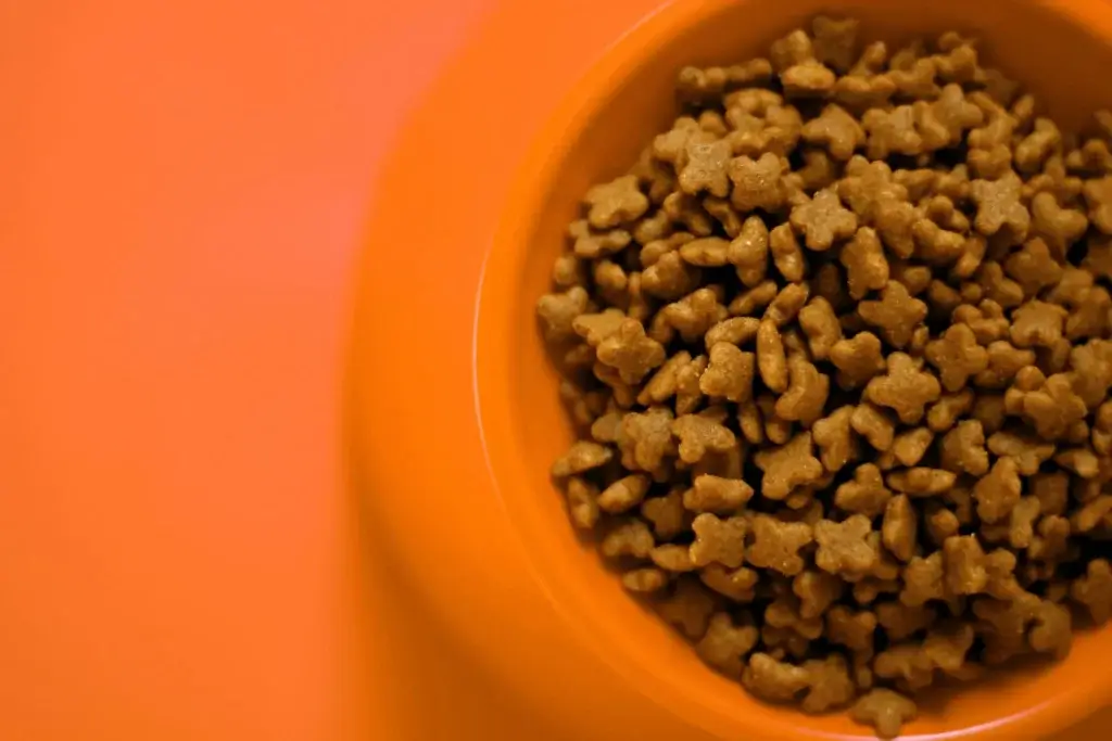 Gamelle de croquettes orange posée sur un fond orange.