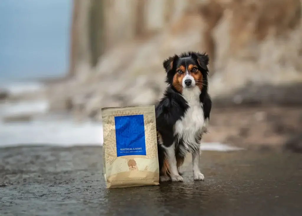 Un chien assis à côté d'un sac de croquettes de la marque Essential Foods dans un paysage de bord de mer.