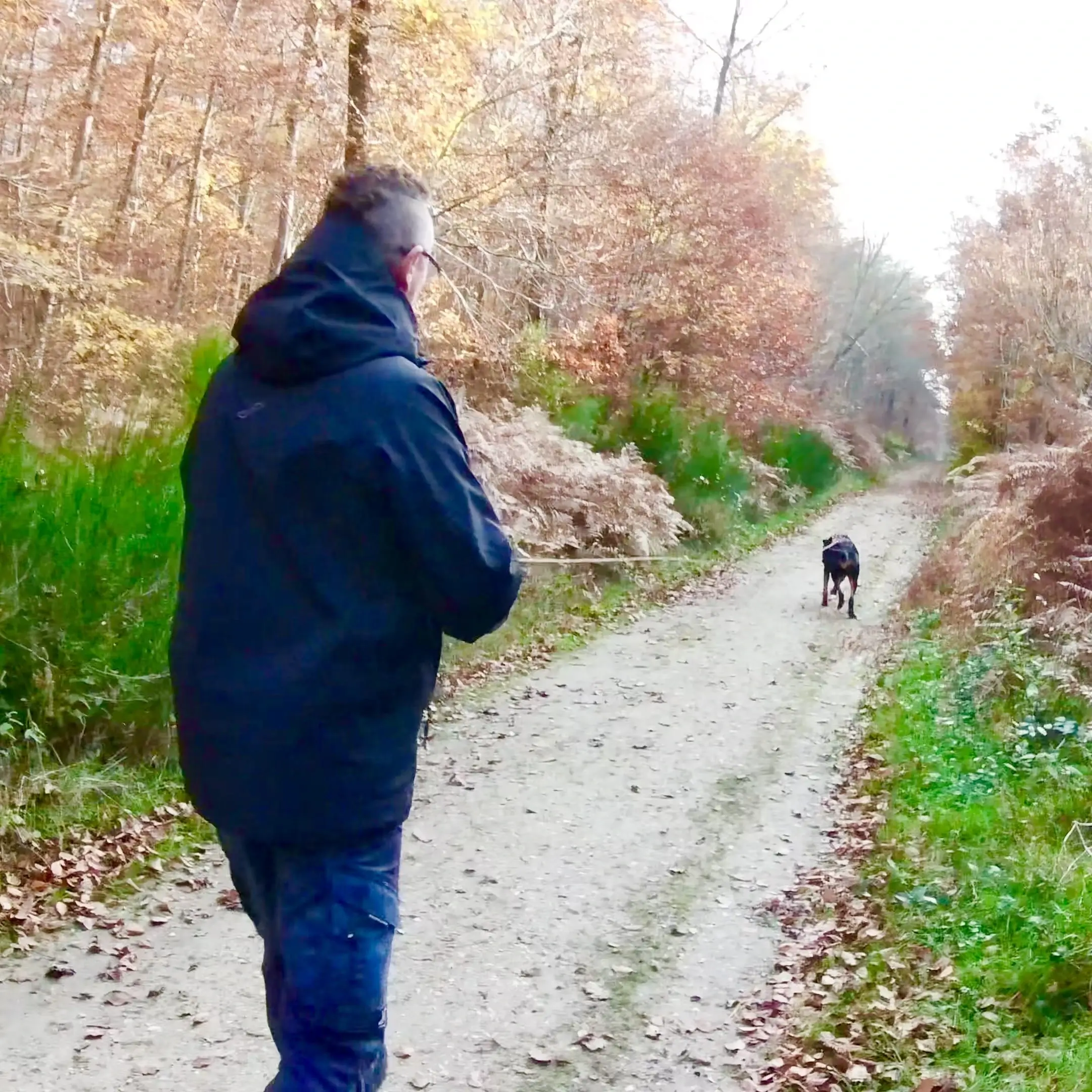 Un homme tient son chien en longe sur un chemin de forêt.