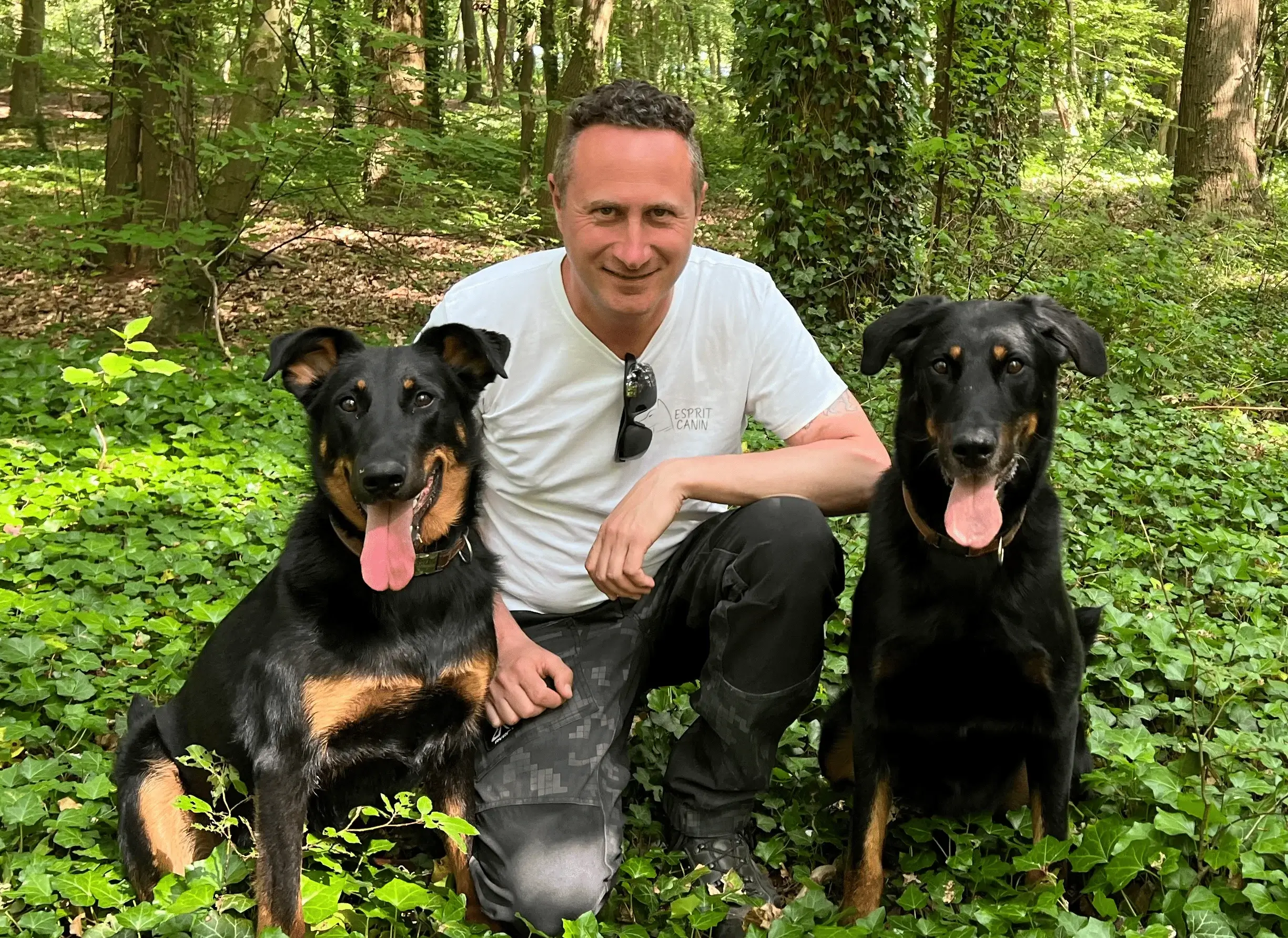 Un homme accroupi en forêt avec un beauceron de part et d'autre.