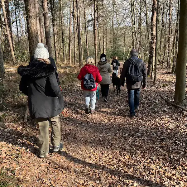 Plusieurs personnes se promènent avec leurs chiens dans une forêt dont le sol est jonché de feuilles mortes.