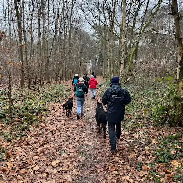 Des personnes se promènent avec leurs chiens sur un chemin de forêt jonché de feuilles mortes.