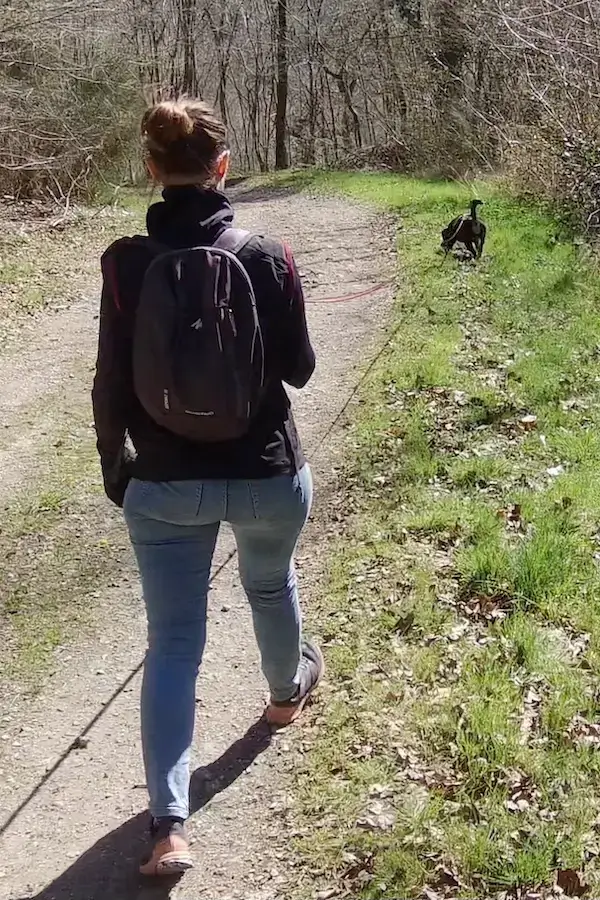 Une femme piste avec son chien sur un chemin de forêt lors d'une séance de mantrailing près de Rouen