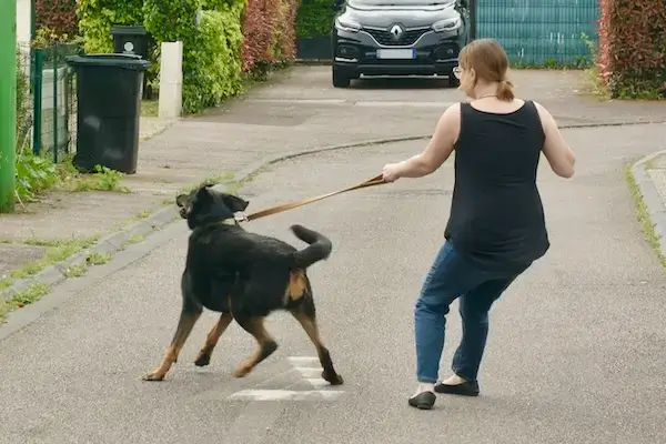 Une femme perd le contrôle de son chien qui tire en laisse dans la rue.